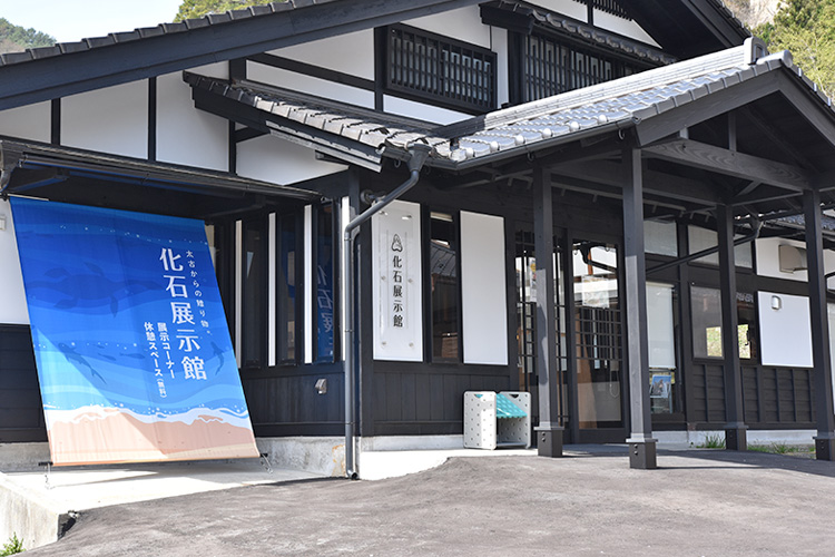 阿南町化石展示館（地域交流施設）