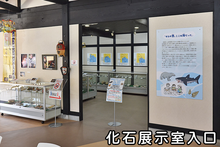 阿南町化石展示館（地域交流施設）