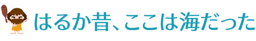 はるか昔、ここは海だった 阿南町化石展示館（地域交流施設）