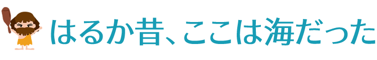 はるか昔、ここは海だった 阿南町化石展示館（地域交流施設）