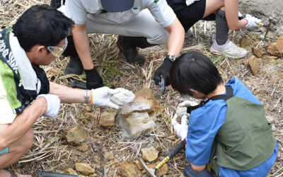 化石探しワークショップ 阿南町化石展示館